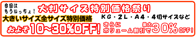 �傫�Ȏʐ^�������Z�[��
